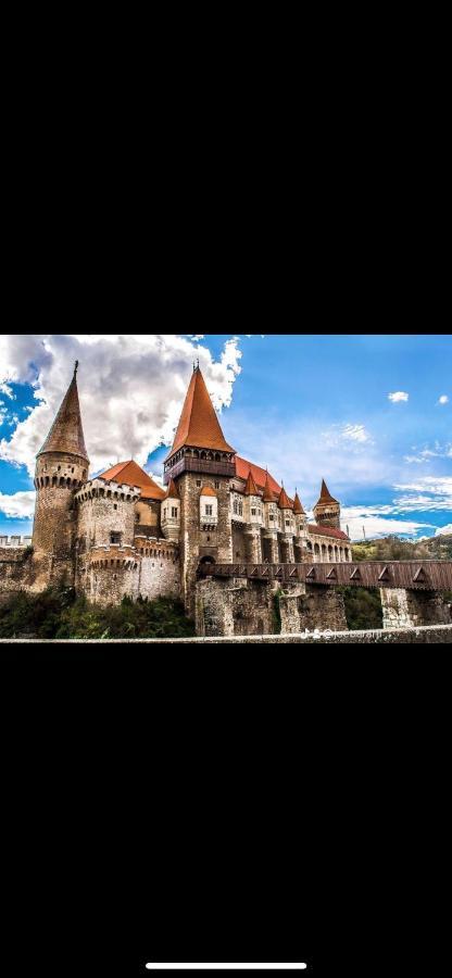 Cabana Tip A La 300 M De Castel Hunedoara Exterior photo